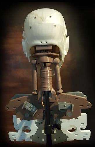 bust